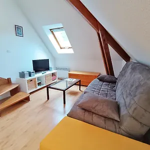 Chez Charlotte, T3 Duplex, Vue Montagne, Parking Gratuit, Ascenseur, 4 Personnes Appartement